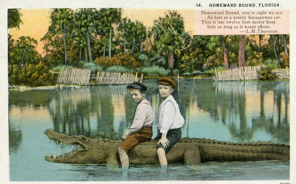 Homeward Bound, Florida-Carey's Emporium