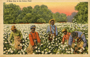 A Busy Day in the Cotton Field-Carey's Emporium