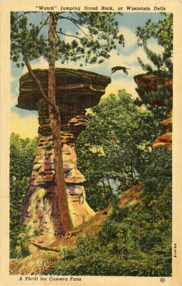 Watch Jumping Stand Rock, at Wisconsin Dells, WI-Carey's Emporium