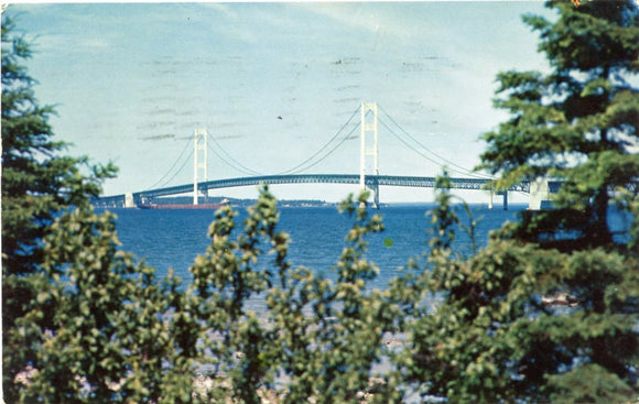 The Mackinac Bridge, MI-Carey's Emporium