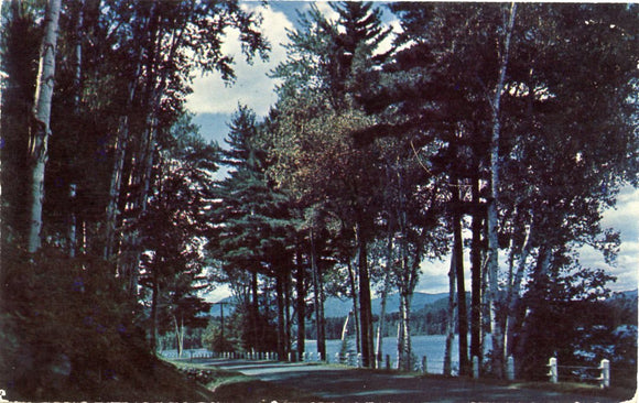 Greetings from Cassopolis, MI-Carey's Emporium