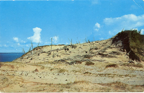 Great Sleeping Bear, Glen Haven, MI-Carey's Emporium