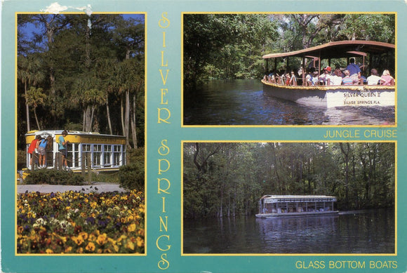 Jungle Cruise, Glass Bottom Boats, Silver Springs, FL-Carey's Emporium
