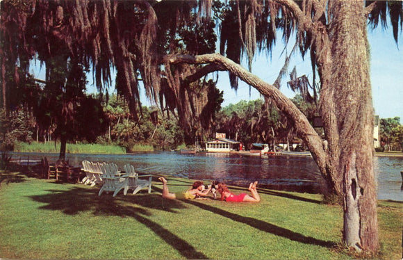 Picturesque Spot on the Beautiful Homosassa River on Florida's West Coast, near Homosassa Springs, FL-Carey's Emporium