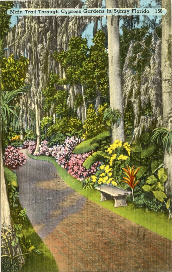 Main Trail Through Cypress Gardens in Sunny Florida-[Carey's Emporium