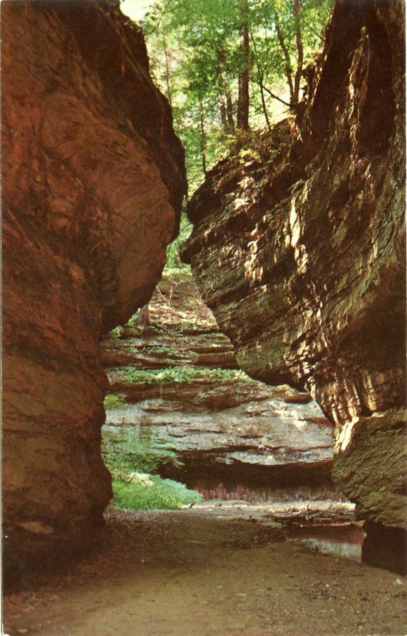 Turkey Run Hollow Trail, Turkey Run State Park, Marshall, IN-[Carey's Emporium