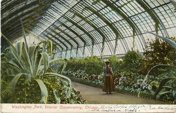 Washington Park, Interior Conservatory, Chicago, IL-[Carey's Emporium