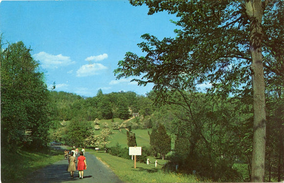 Jockey Hollow Burying Ground, Morristown National Historical Park, Morristown, NJ-[Carey's Emporium