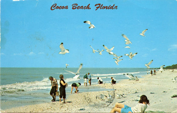 Cocoa Beach, FL-[Carey's Emporium