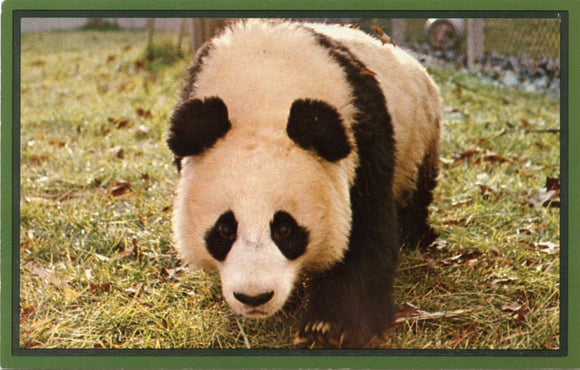 National Zoological Park, Washington, DC-[Carey's Emporium