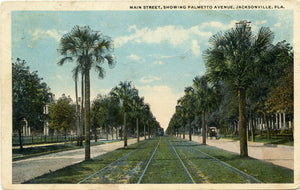 Main Street, Showing Palmetto Avenue, Jacksonville, FL-[Carey's Emporium