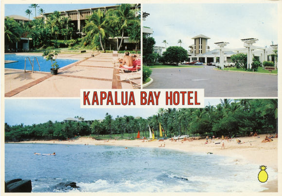 Kapalua Bay Hotel, Island of Maui, HI-Carey's Emporium