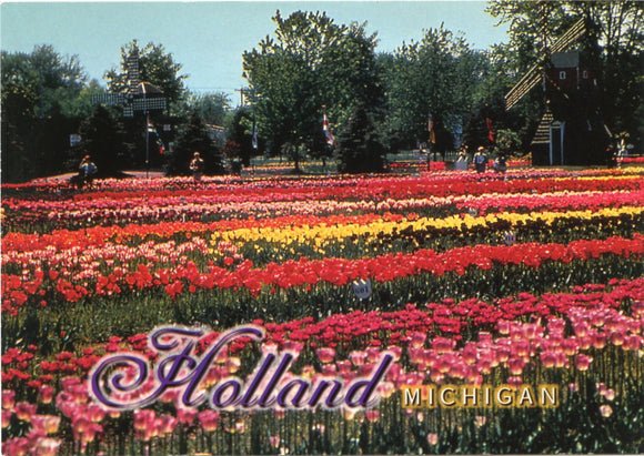 Veldheer Tulip Gardens, Holland, MI-Carey's Emporium