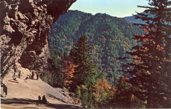 Alum Cave Bluff, Great Smoky Mountains National Park, Tennessee-North Carolina-Carey's Emporium