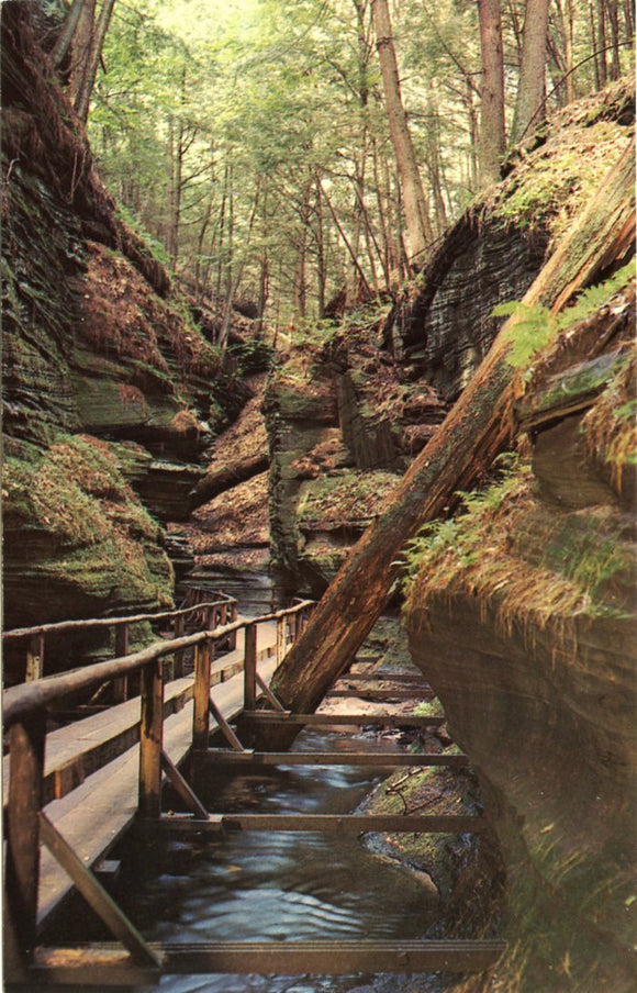 Witches Gulch, Wisconsin Dells, WI-Carey's Emporium