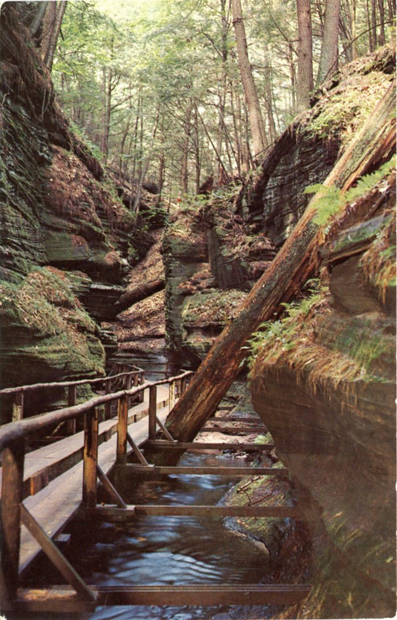 Witches Gulch, Wisconsin Dells, WI-Carey's Emporium
