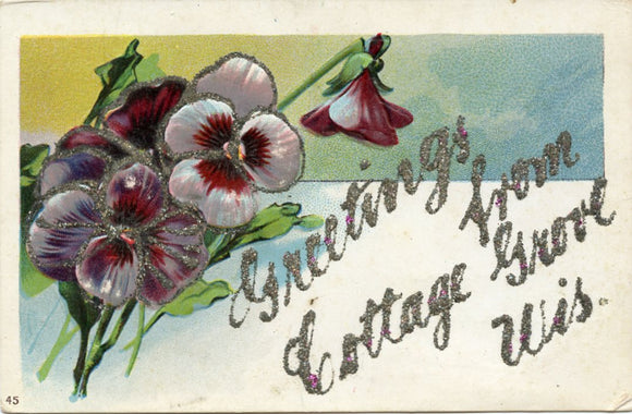 Greetings from Cottage Grove, WI-Carey's Emporium