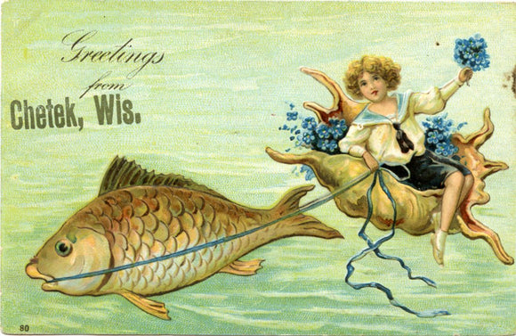 Greetings from Chetek, WI-Carey's Emporium