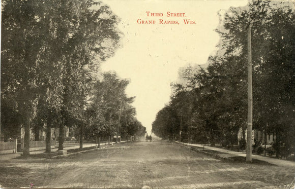 Third Street, Grand Rapids, WI-Carey's Emporium