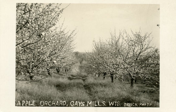 Apple Orchard, Gays Mills, WI-Carey's Emporium
