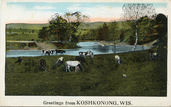 Greetings from Koshkonong, WI-Carey's Emporium