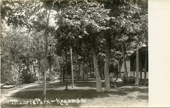 Monroe Park, Kegonsa, WI-Carey's Emporium