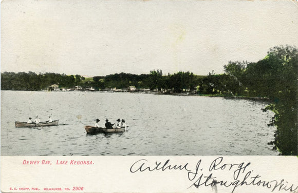 Dewey Bay, Lake Kegonsa, WI-Carey's Emporium