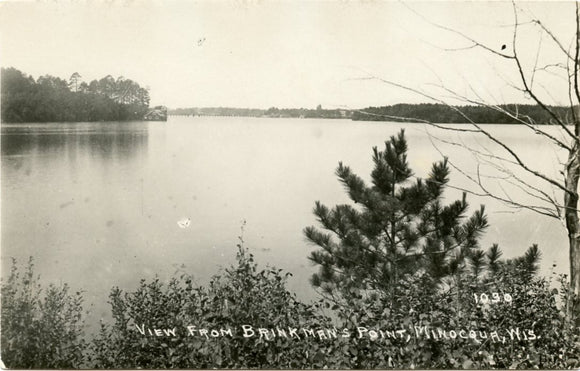 View from Brinkman's Point, Minocqua, WI-Carey's Emporium