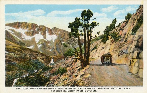 The Tioga Road and the High Sierra Between Lake Tahoe and Yosemite National Park-Carey's Emporium