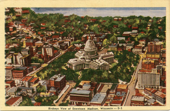 Birdseye View of Downtown Madison, WI-Carey's Emporium