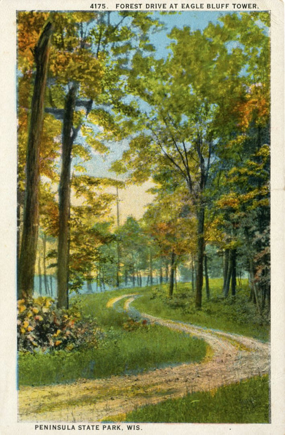 Forest Drive at Eagle Bluff Tower, Peninsula State Park, WI-Carey's Emporium