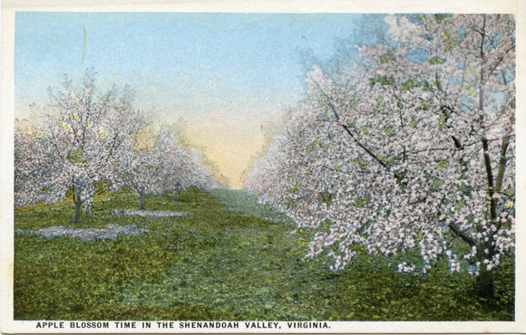 Apple Blossom Time in the Shenandoah Valley, VA-Carey's Emporium