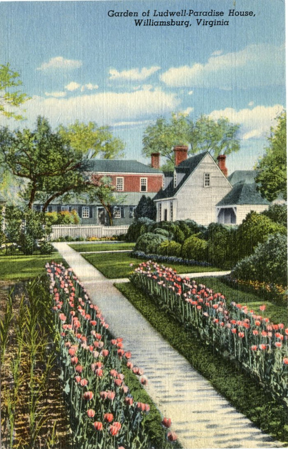 Garden of Ludwell Paradise House, Williamsburg, VA-Carey's Emporium