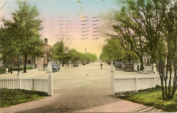 Duke of Gloucester Street from Campus of the College of William and Mary, Williamsburg, VA-Carey's Emporium