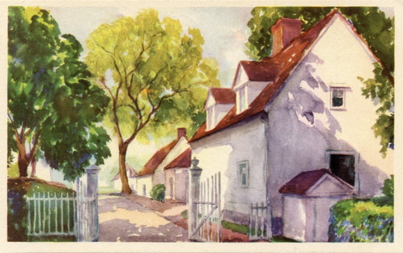 The North Lane at Mount Vernon, VA-Carey's Emporium