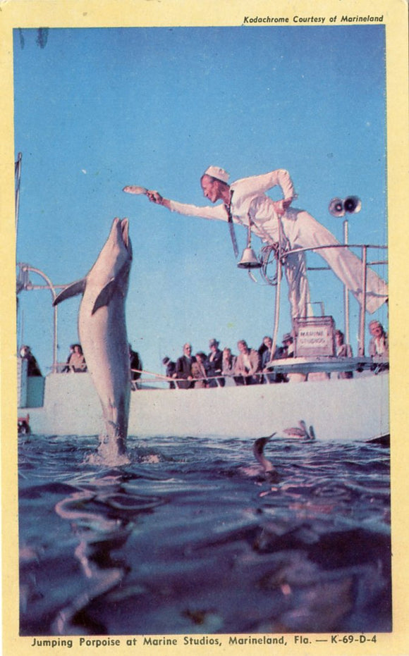 Jumping Porpoise at Marine Studios, Marineland, FL-Carey's Emporium