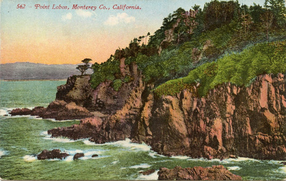 Point Lobos, Monterey Co., CA-Carey's Emporium