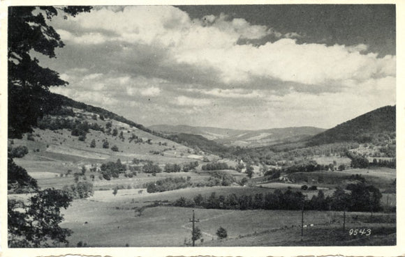 Fulton Flats, Middleburg, NY-Carey's Emporium