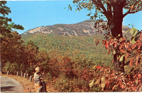 Table Rock Mountain, Greenville County, SC-Carey's Emporium