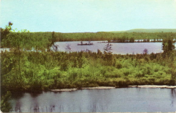 Lodge Lake and Devoe Lake, Lupton, MI-Carey's Emporium