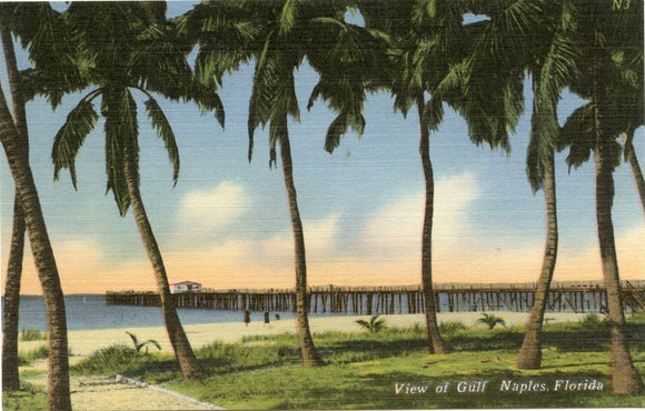 View of Gulf, Naples, FL-Carey's Emporium