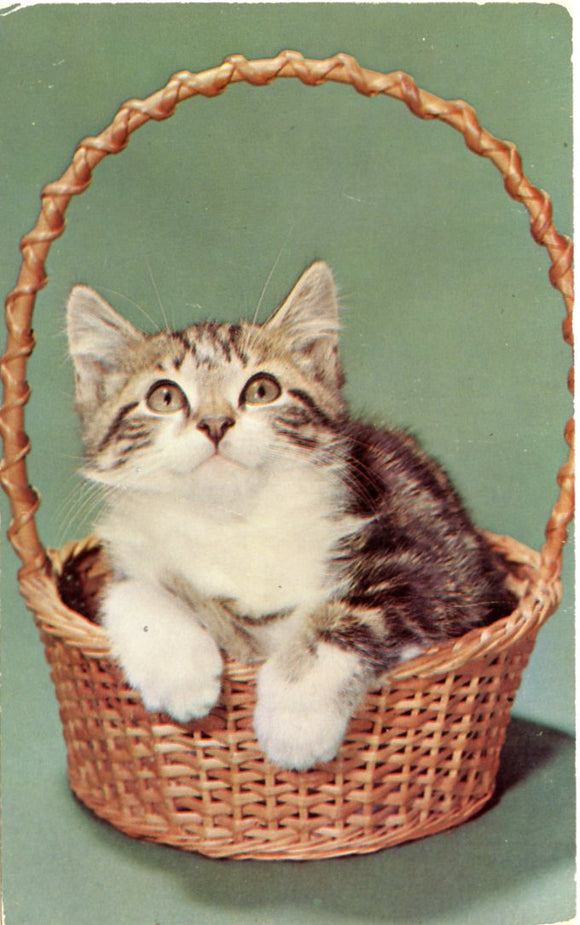 A 'Tisket a 'Tasket, I found a Yellow Basket-Carey's Emporium