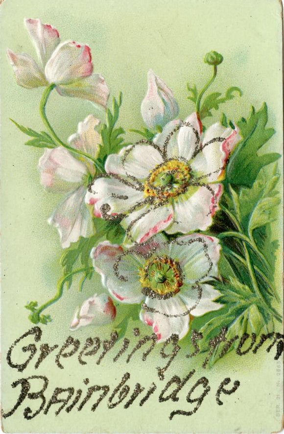 Greetings from Bainbridge-Carey's Emporium