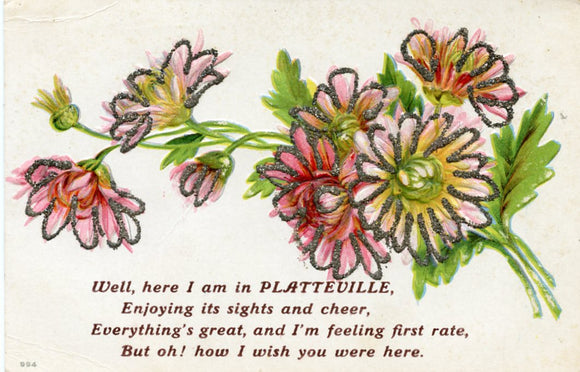 Well, Here I Am in Platteville-Carey's Emporium