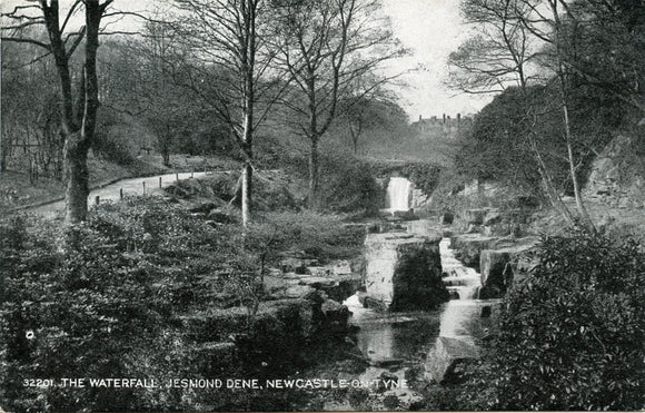 The Waterfall, Jesmond Dene, Newcastle-on-Tyne-Carey's Emporium