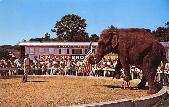 Elephant Act, Circus World Museum, Baraboo, WI-Carey's Emporium