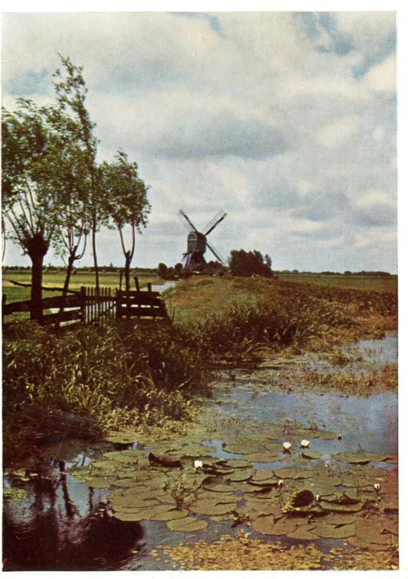 The Gentle Dutch Landscape-Carey's Emporium