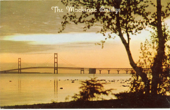 The Mackinac Bridge, State of Michigan-Carey's Emporium