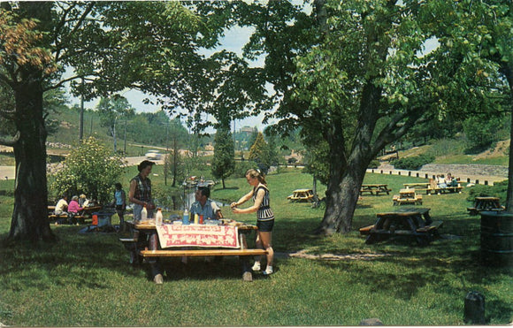 Roadside Park in Michigan-Carey's Emporium
