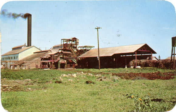Sugar Mill, Kahuku, HI-Carey's Emporium